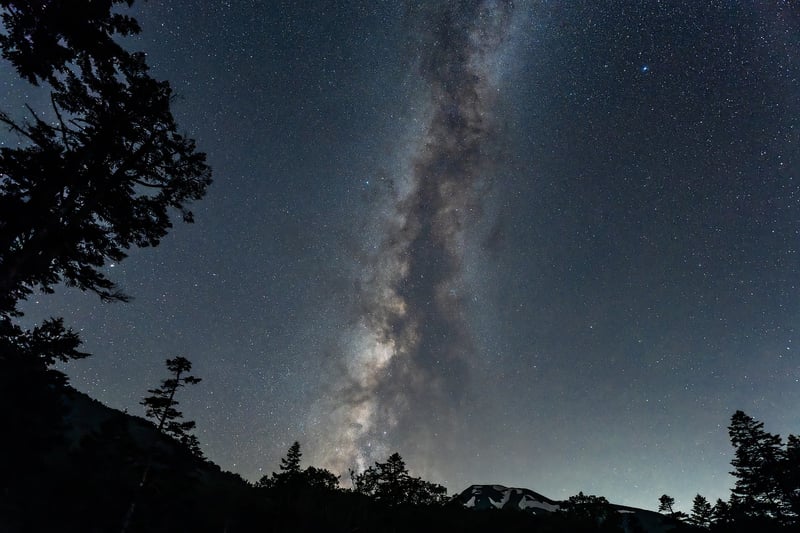 Moonlit Dance Floor